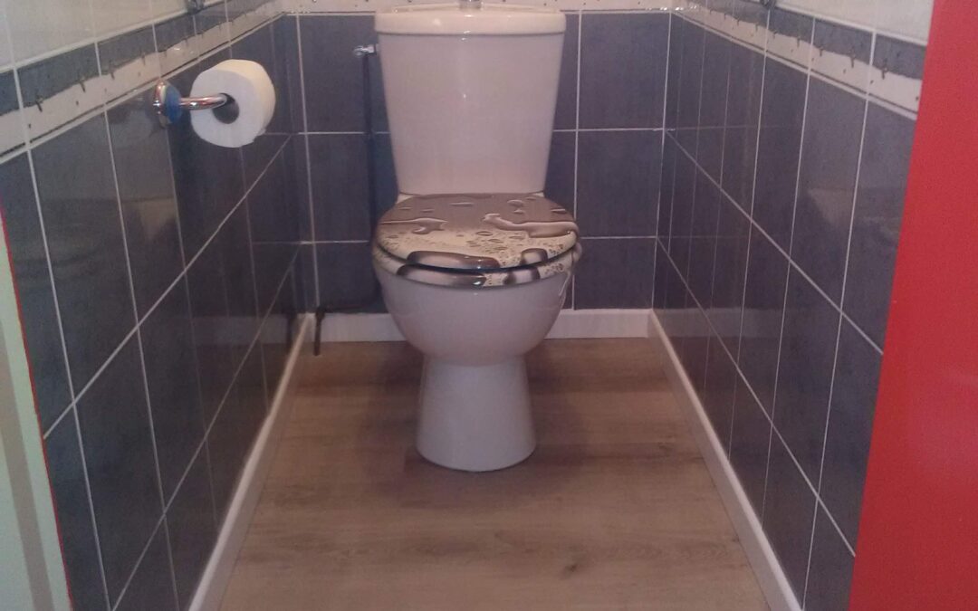 Rénovation Sol Toilettes