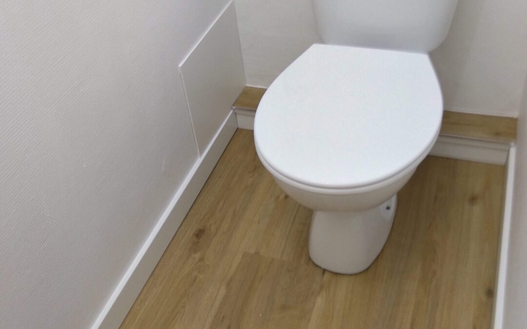 Travaux Divers de Petite Plomberie: Remplacement Mitigeurs; Bondes; Siphons;…